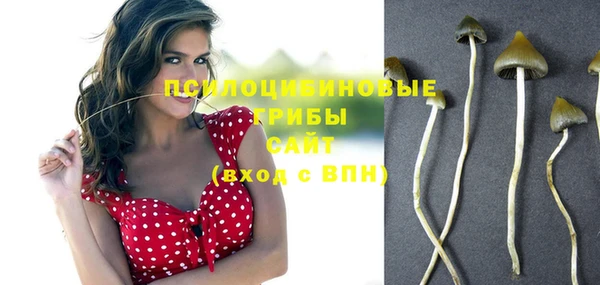 прущий лед Яровое