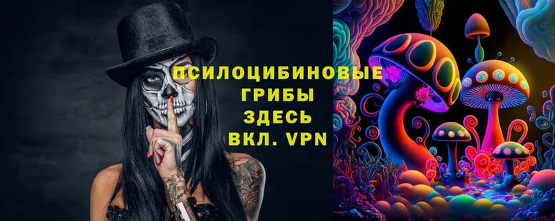 Псилоцибиновые грибы Magic Shrooms  цена наркотик  Баймак 